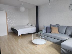 Laitila City Apartments - sisältää parkkipaikan in Laitila